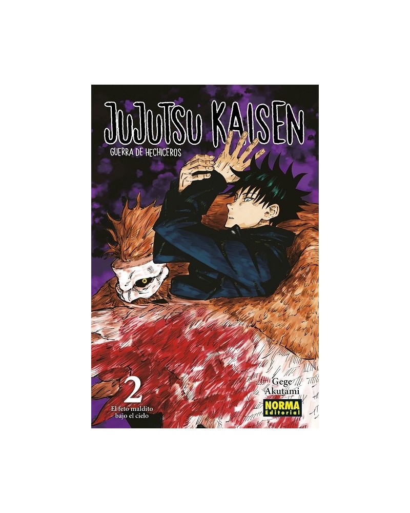 Jujutsu Kaisen 02