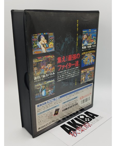Fatal Fury Garou