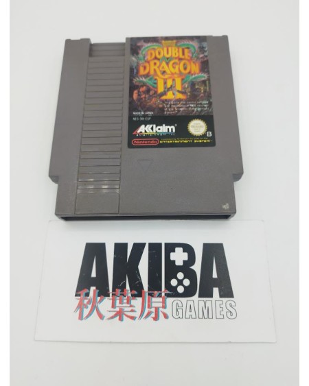 Double Dragon II 