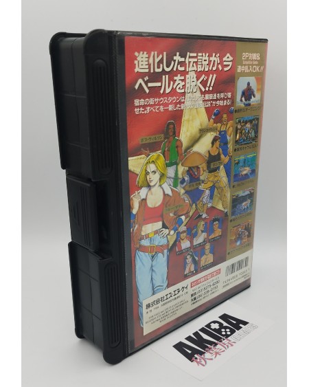 Fatal Fury 3