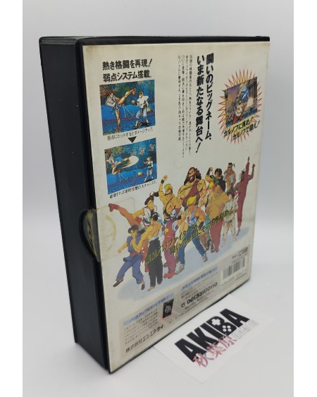 Fighter´s History Dynamite