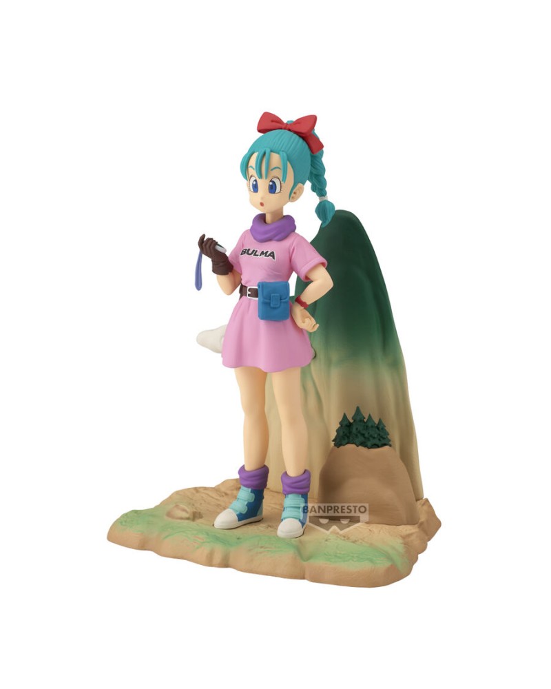 Bulma History Box