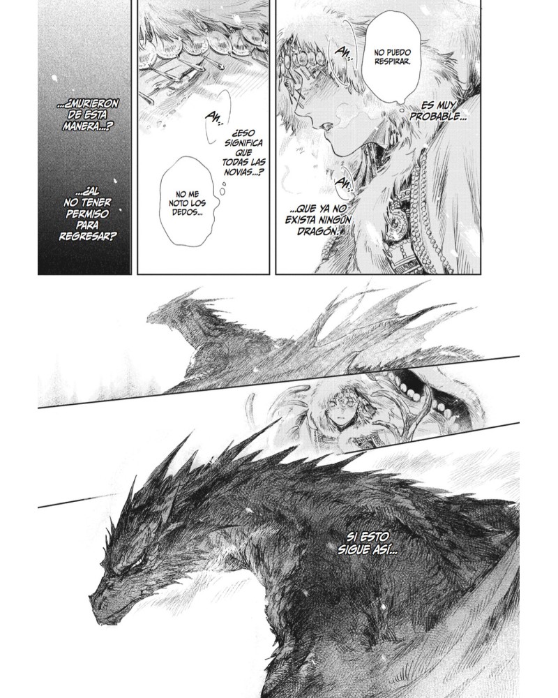 MANGA - LA NOVIA DEL DRAGON 01 | Akiba Games