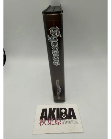 PS5 - Gleylancer &  Gynoug Limited Run