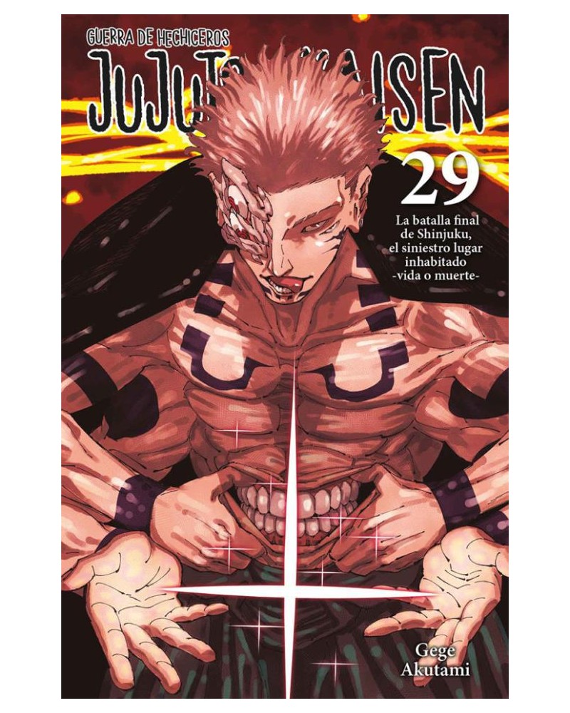 Jujutsu Kaisen 29